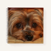 Carnet Chien de Terrier du Yorkshire (Devant)