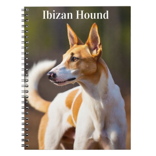 Carnet Chien d'Ibiza (Devant)