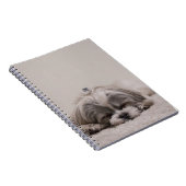 Carnet Chien dormant Shih tzu (Côté Droit)