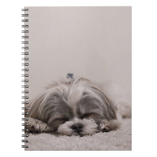 Carnet Chien dormant Shih tzu (Devant)