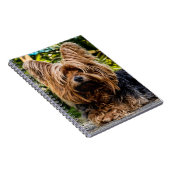 Carnet Chien du Yorkshire Terrier (Côté Droit)