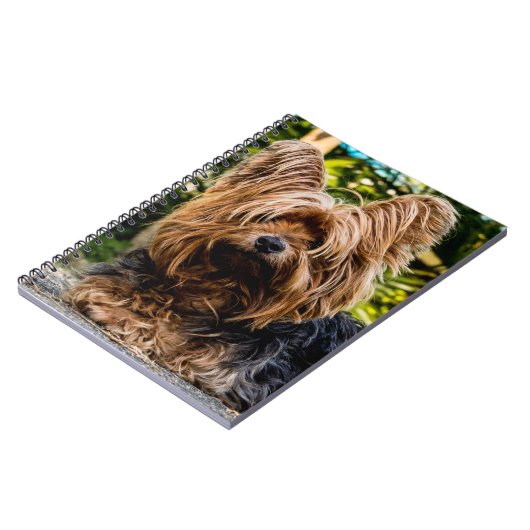 Carnet Chien du Yorkshire Terrier (Côté gauche)