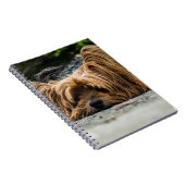 Carnet Chien du Yorkshire Terrier (Côté Droit)