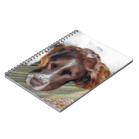 CARNET CHIEN ESPAGNOL (Côté gauche)