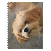 Carnet Chien Lhasa Apso dans un jardin (Devant)