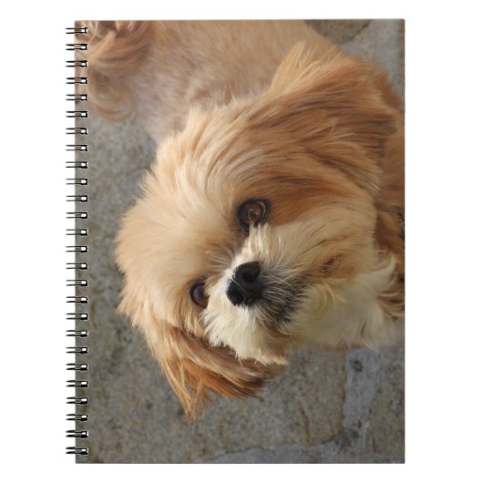 Carnet Chien Lhasa Apso dans un jardin (Devant)