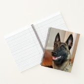 Carnet Chien malinois (Intérieur)