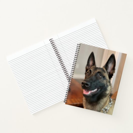 Carnet Chien malinois (Intérieur)