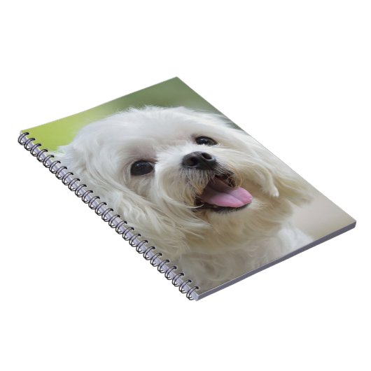 Carnet Chien maltais blanc (Côté Droit)