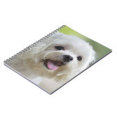 Carnet Chien maltais blanc (Côté gauche)