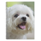 Carnet Chien maltais blanc (Devant)