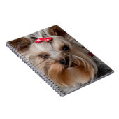 Carnet Chien mignon (Côté Droit)