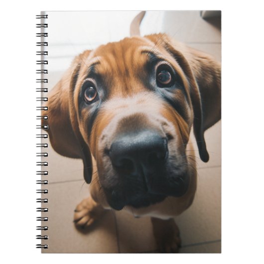 Carnet Chien mignon (Devant)