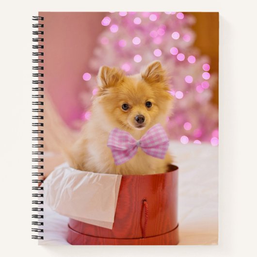 Carnet Chien mignon avec cou rose Photographie de Noël (Devant)