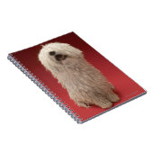 Carnet Chien mignon de Komondor (Côté Droit)
