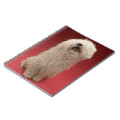 Carnet Chien mignon de Komondor (Côté gauche)