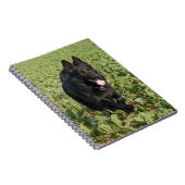 Carnet Chien noir (Côté Droit)