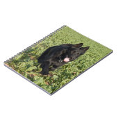 Carnet Chien noir (Côté gauche)