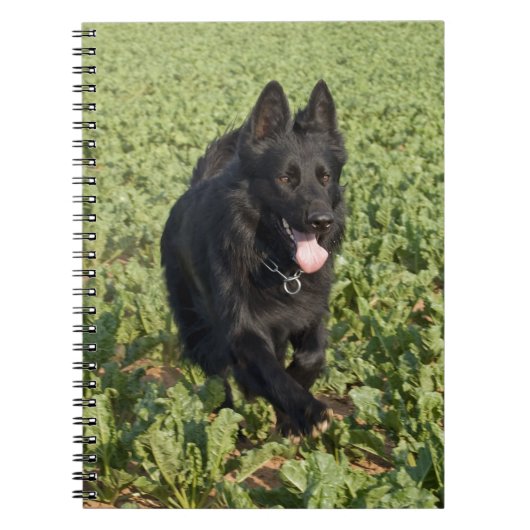 Carnet Chien noir (Devant)