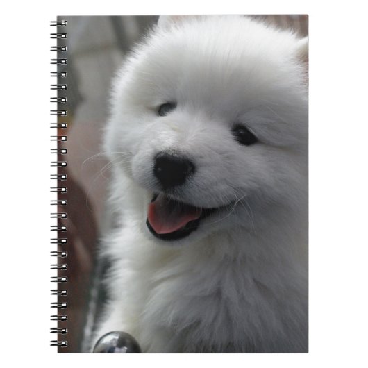 Carnet Chien Samoyé (Devant)