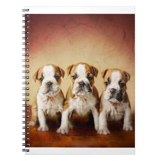 Carnet Chiens de taureau anglais vraiment mignons (Devant)