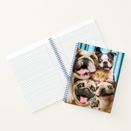 Carnet Chiens et photo d'un groupe de chats (Intérieur)