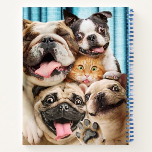 Carnet Chiens et photo d'un groupe de chats (Dos)