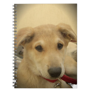 Carnet Chiens mignons et Chiens de marionnettes Mans deux
