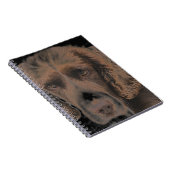 Carnet Chiens Springer anglais (Côté Droit)