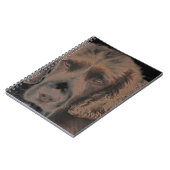 Carnet Chiens Springer anglais (Côté gauche)