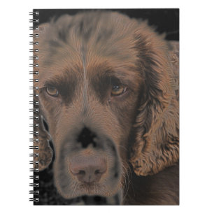 Carnet Chiens Springer anglais