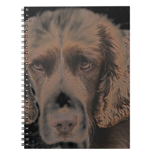 Carnet Chiens Springer anglais (Devant)
