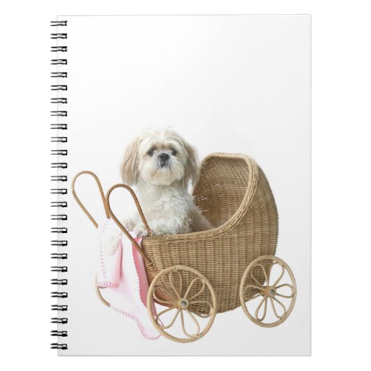 Carnet Chih Tzu (Devant)