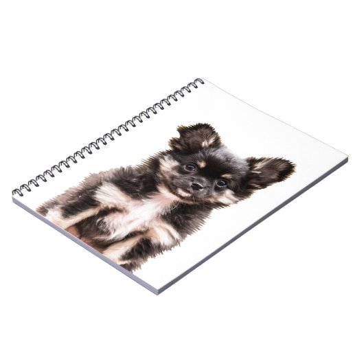 Carnet Chihuahua Chien chiot (Côté gauche)