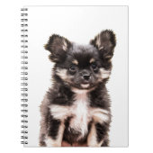 Carnet Chihuahua Chien chiot (Devant)