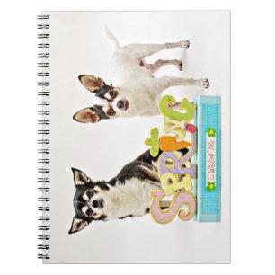 Carnet Chihuahua du printemps