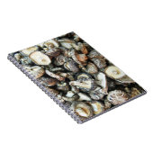 Carnet Chiitake Musrooms (Côté Droit)