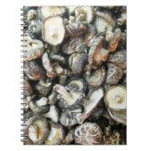 Carnet Chiitake Musrooms (Devant)