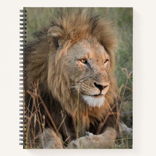 Carnet Chill Lion Personnaliser le nom (Devant)