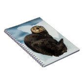 Carnet Chilly Sea Otter (Côté Droit)