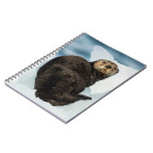Carnet Chilly Sea Otter (Côté gauche)