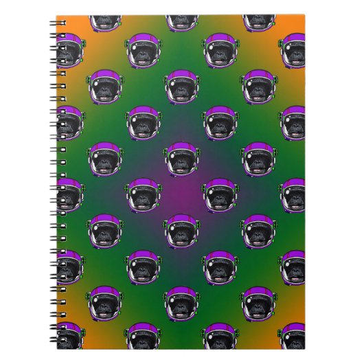 Carnet Chimp. spatial (Devant)