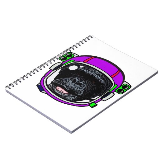 Carnet Chimp. spatial (Côté gauche)