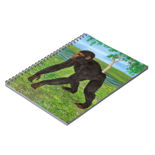 Carnet Chimpanzé (Côté gauche)