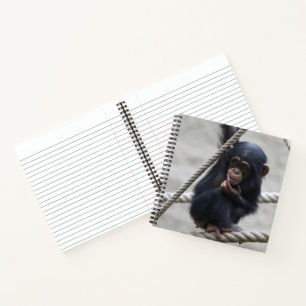 Carnet Chimpanzé 030