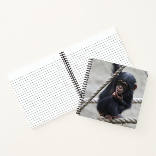 Carnet Chimpanzé 030 (Intérieur)