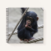 Carnet Chimpanzé 030 (Devant)