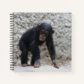 Carnet Chimpanzé 031 (Devant)