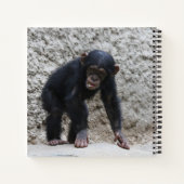 Carnet Chimpanzé 031 (Dos)