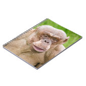 Carnet Chimpanzé sans cheveux (Côté gauche)